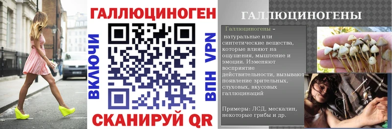 Купить закладки  Сунжа  Псилоцибиновые грибы GOLDEN TEACHER 